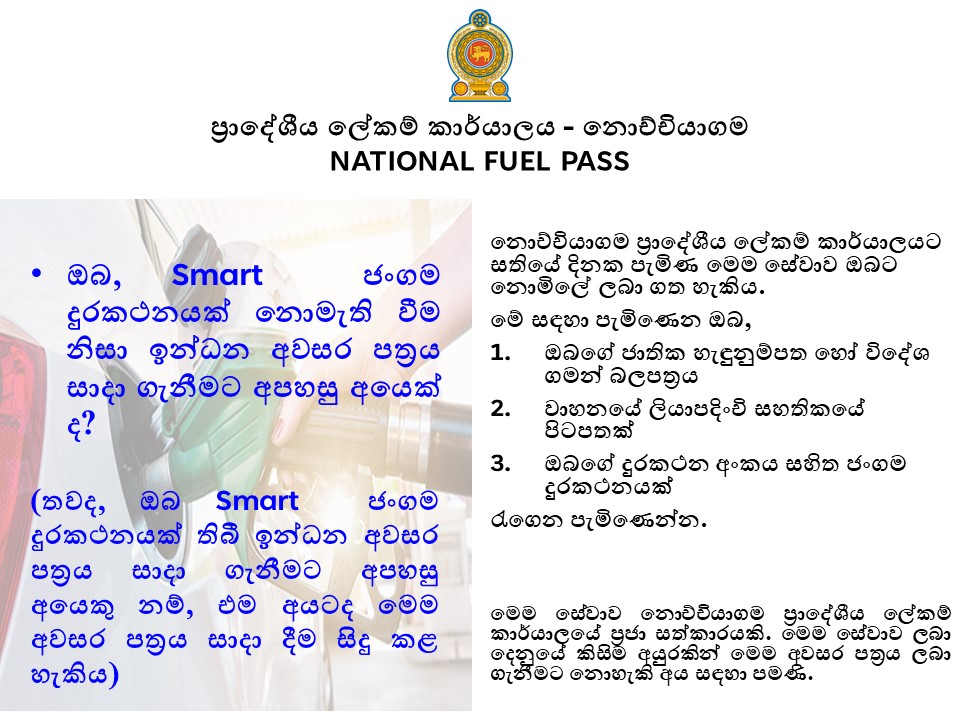 News15