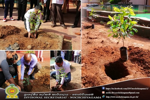 2019 නව වසරෙහි රාජකාරි ඇරඹීම.......